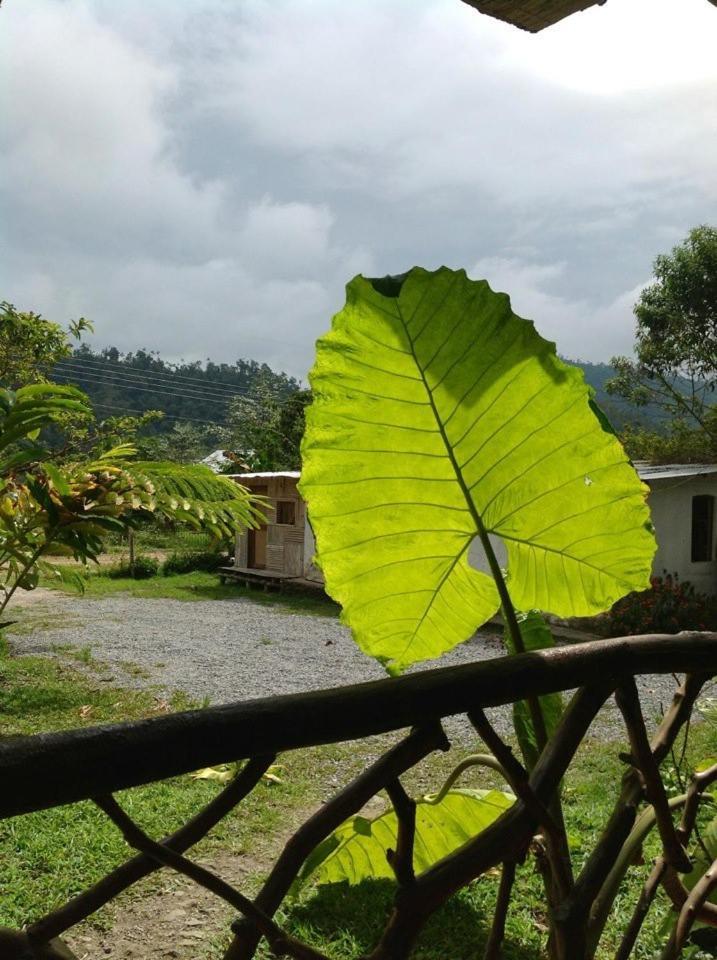 Hosteria Mindo Samay Juku Esterno foto