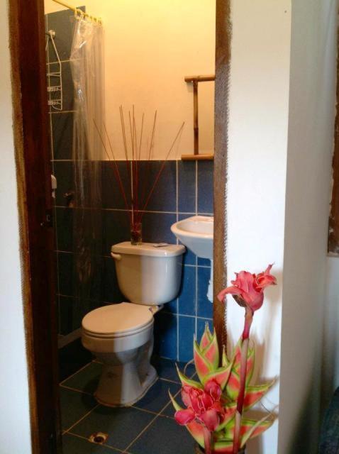 Hosteria Mindo Samay Juku Esterno foto